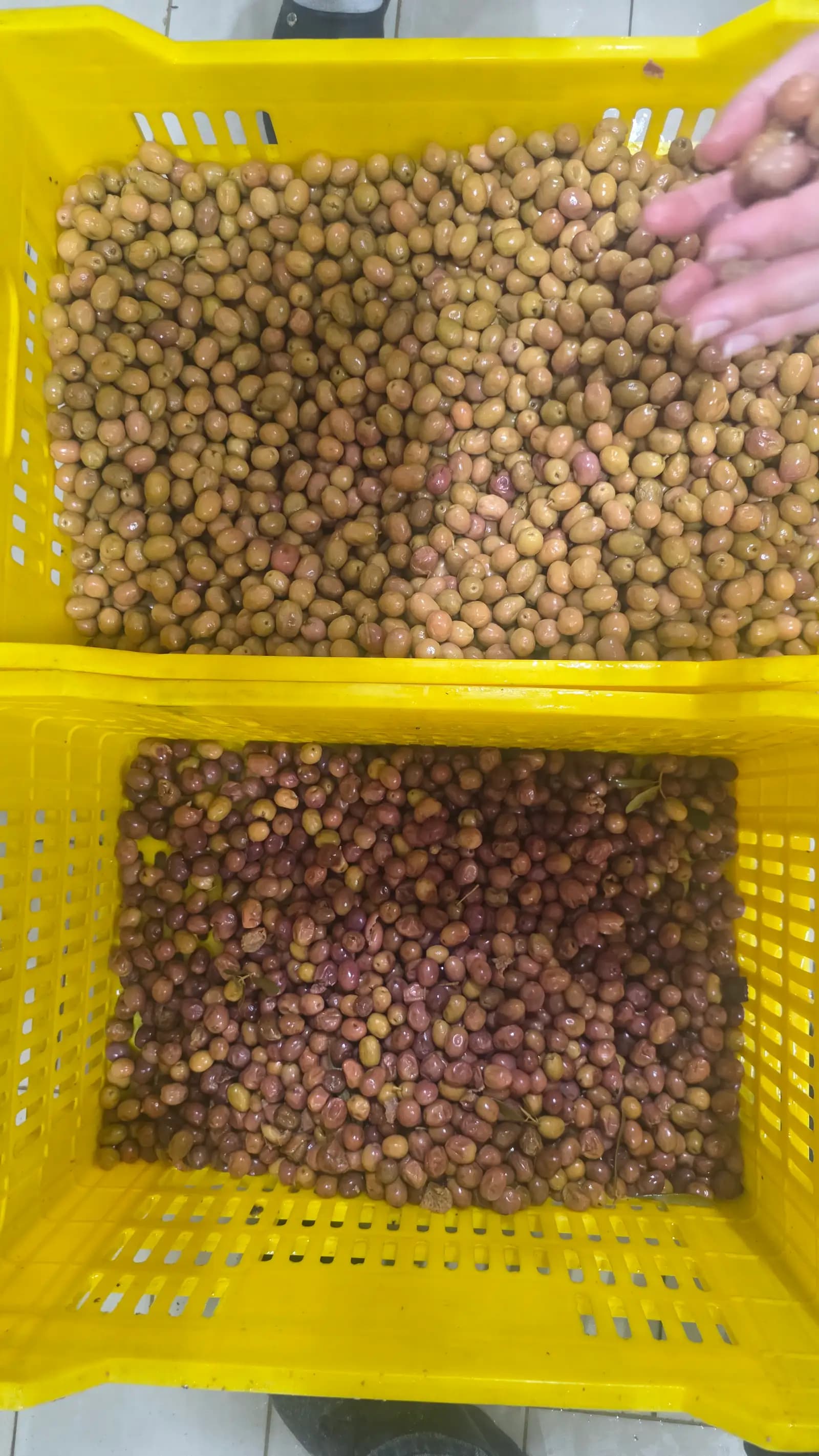 ساخت دستگاه