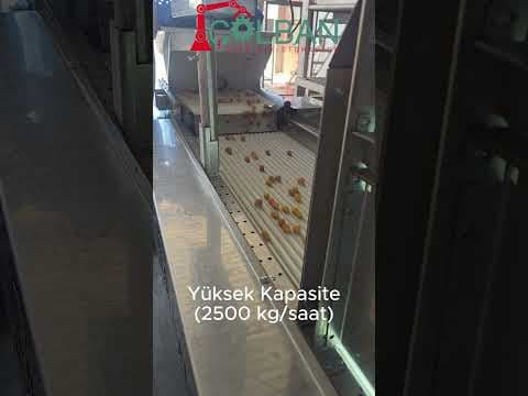 Pink colour sorting in Edremit olives